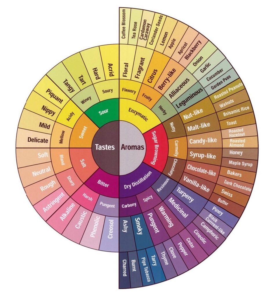 Coffee Flavor-Wheel-923x1024